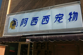 &#66;&#79;&#66;&#21322;&#23707;
